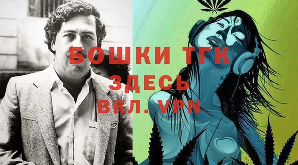 PSILOCYBIN Гусев