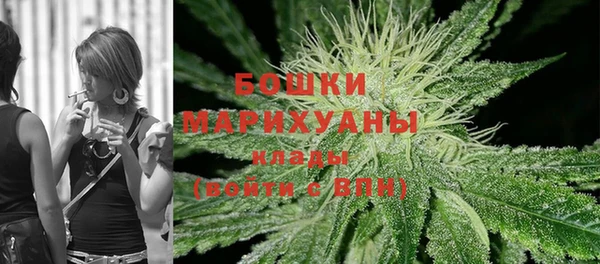 PSILOCYBIN Гусев