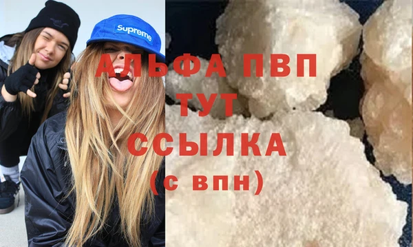 PSILOCYBIN Гусев