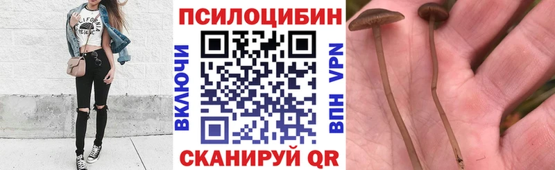 это клад наркошоп Жердевка Галлюциногенные грибы Magic Shrooms