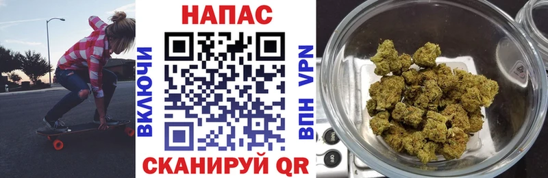купить   Жердевка  Конопля Bruce Banner 